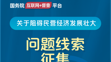 台球桌草逼国务院“互联网+督查”平台公开征集阻碍民营经济发展壮大问题线索